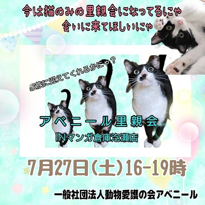 本日譲渡会開催いたしました