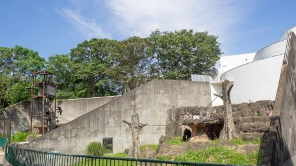 【プロジェクト内容のご紹介】ご支援で実現できること