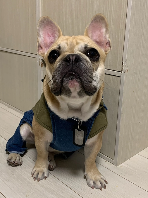 ちくわの居場所