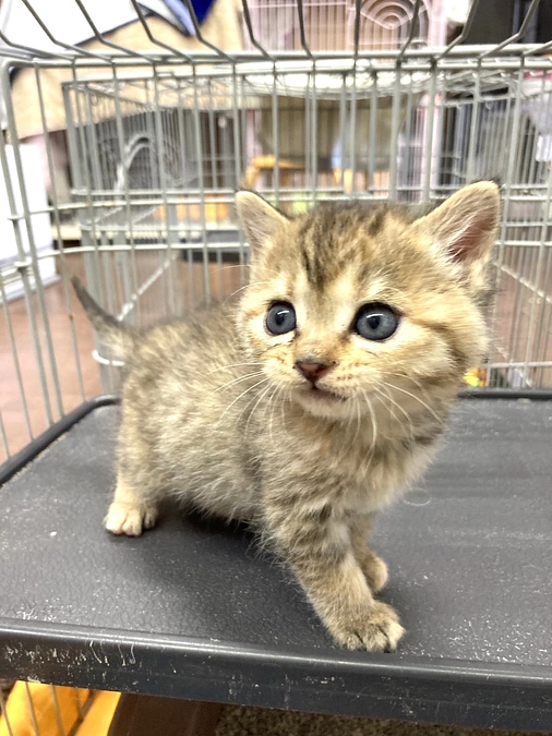 本日最終日！最後の１秒まで頑張ります！