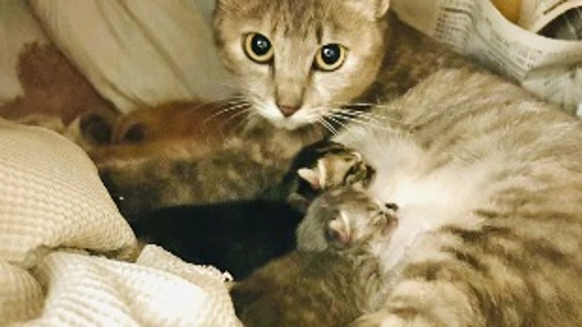 産まれました！！