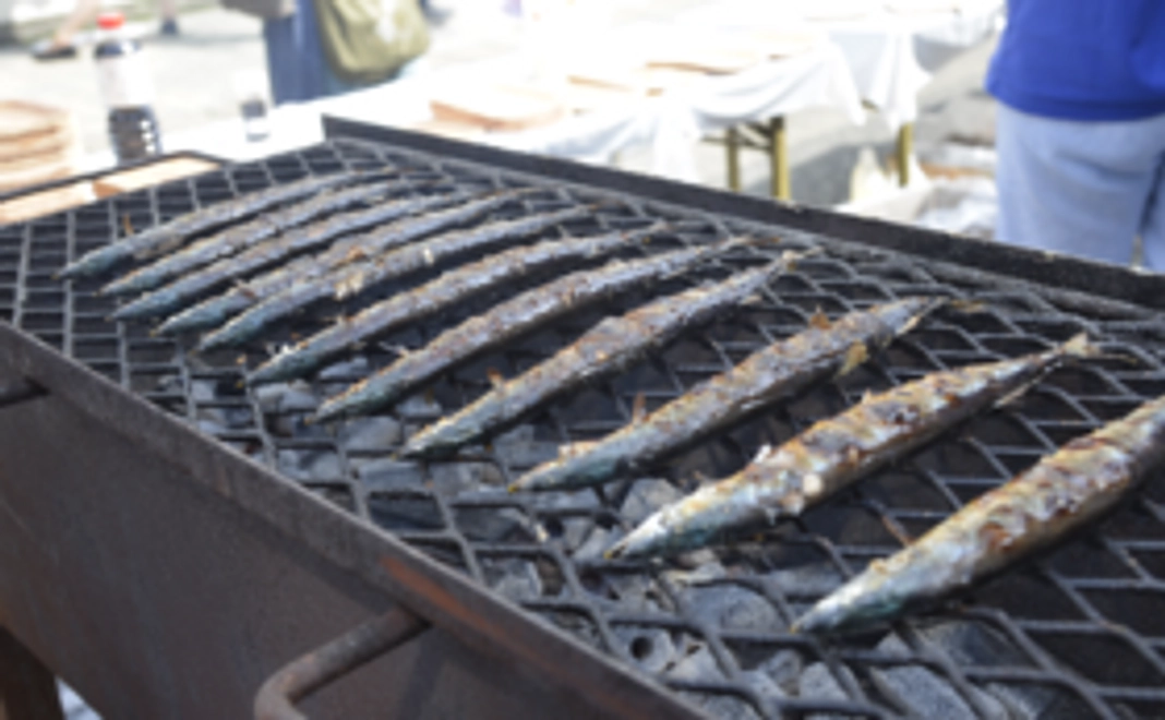 サンクスメール+さんま優待券