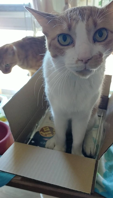 3月のイベントに向けて行った集客の報告