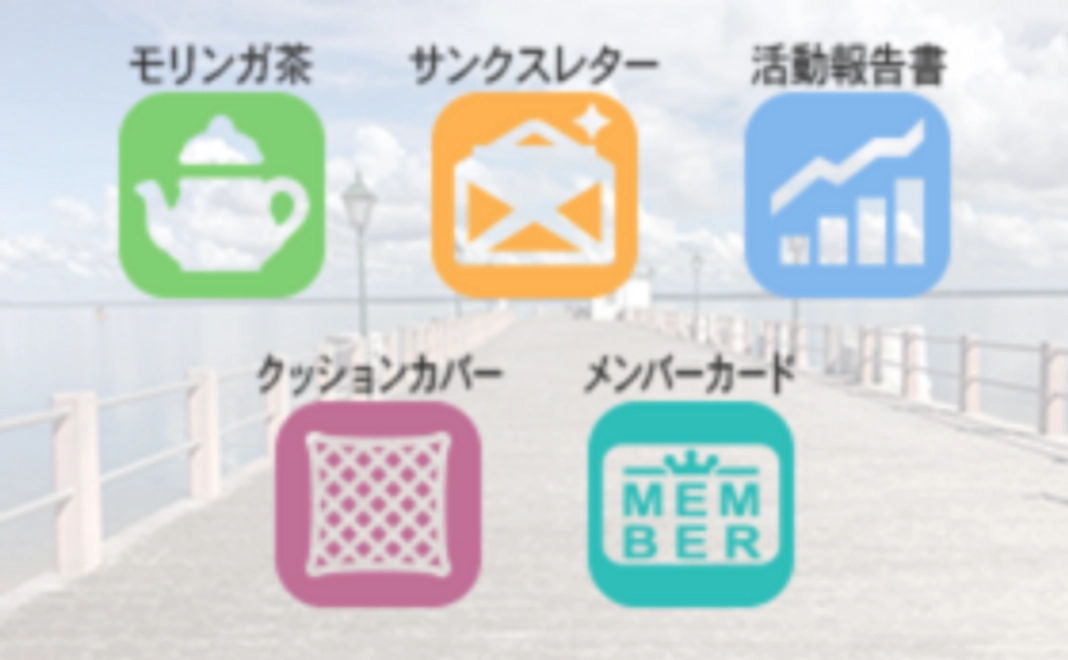 モリンガ茶1袋＋クッションカバー