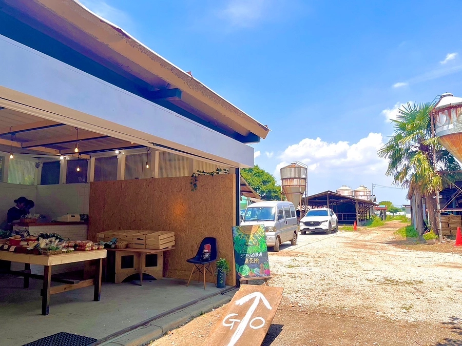 タンジョウファーム、バージョンアップ奮闘中　その１