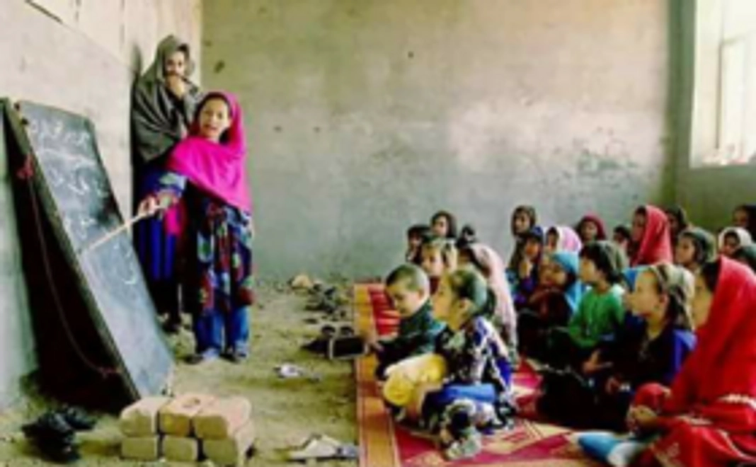 【応援コース】リターンコストを抑えられる分、ディバさん達のために使用させていただきます