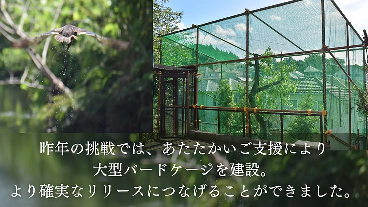 傷付いた野生動物達を救う。運動場を増設し適切なリハビリケアの実現へ 3枚目