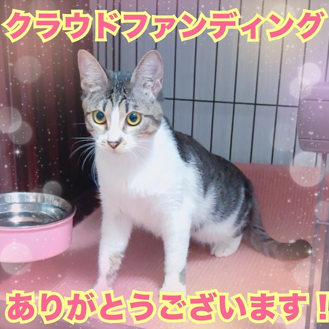 ありがとうございます！