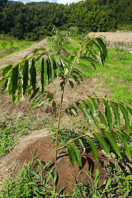 締め切りまで残り10日