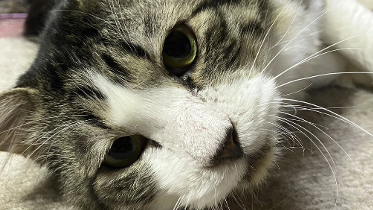 3月の中間報告！