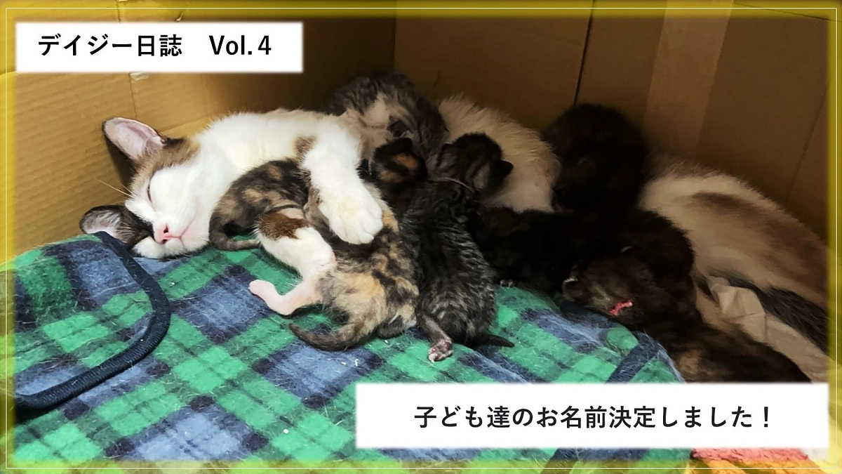 お名前決定しました！