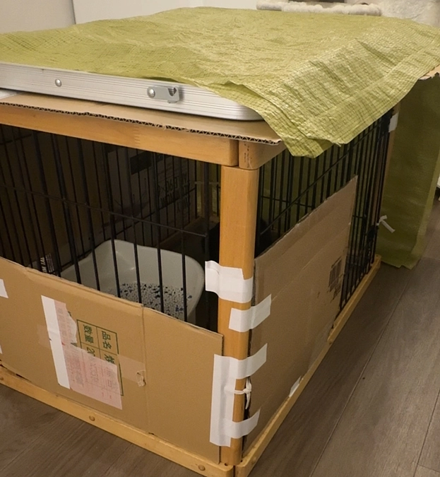 黒猫ちゃんのゲージ