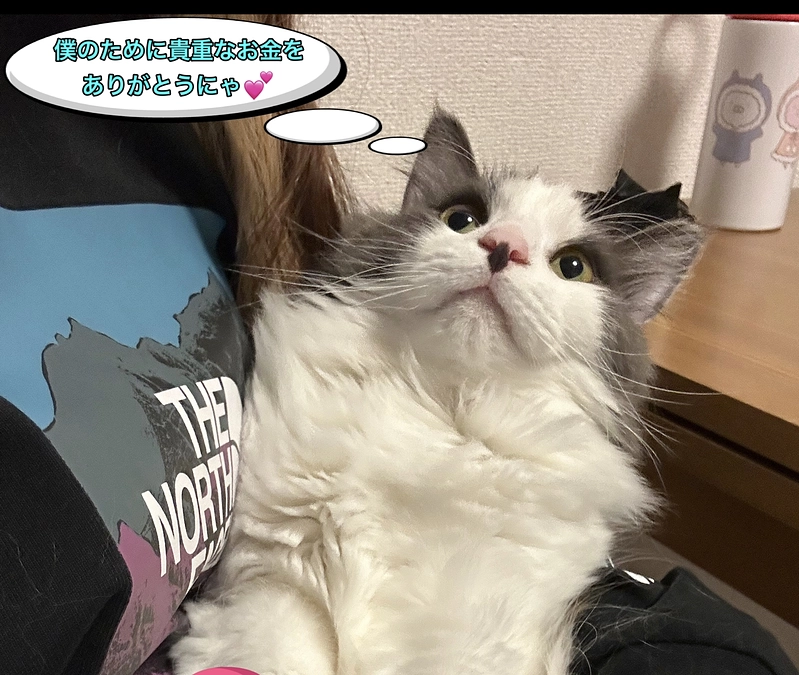 ほんとにありがとうございました😭達成㊗️🎉🎉🎉