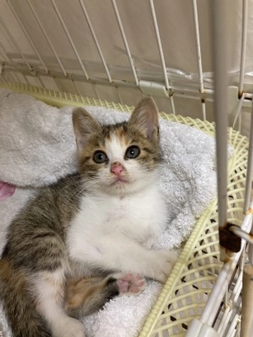 終了まであと１５分　御礼