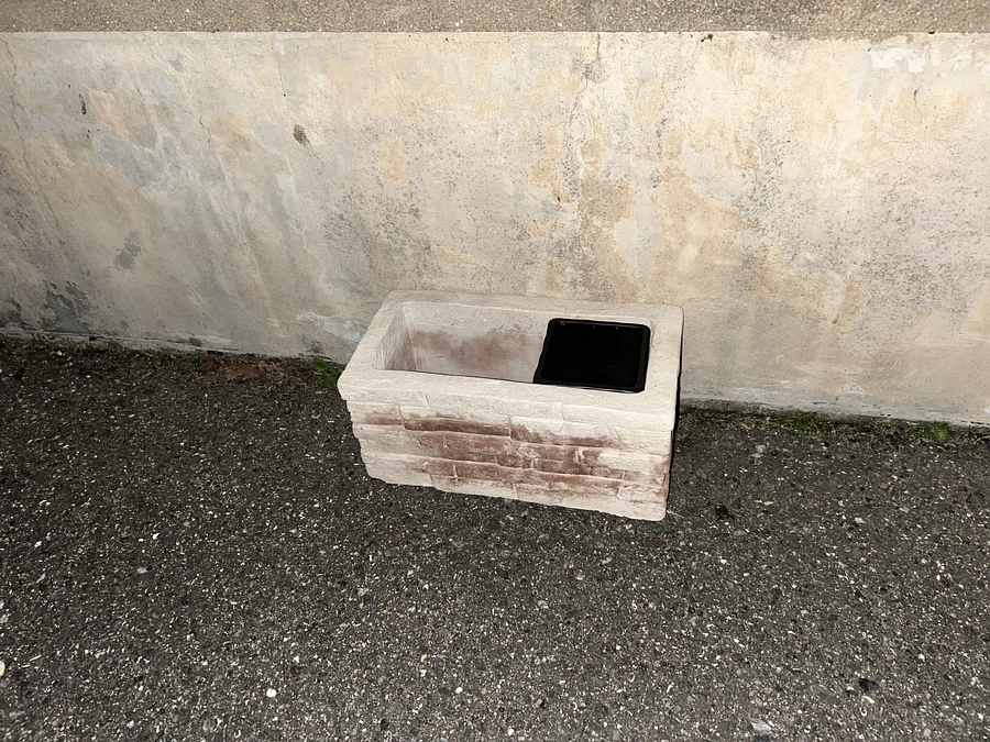 猫達の水飲み場