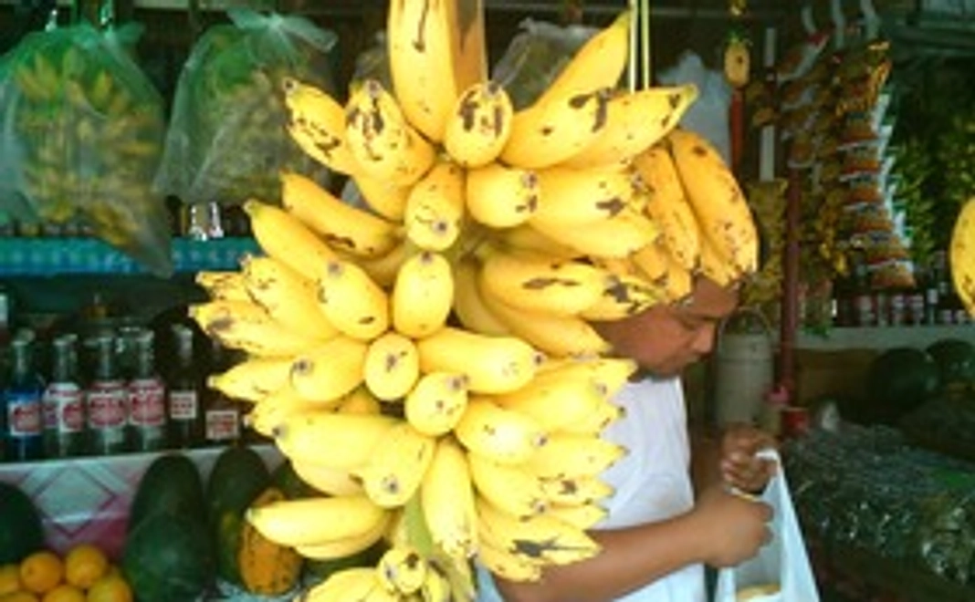 現地栽培されたバナナ30kg程とお礼のお手紙をお届け致します。