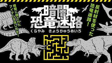 福井県発！反射材を使った暗闇迷路を全国展開していきたい！ のトップ画像