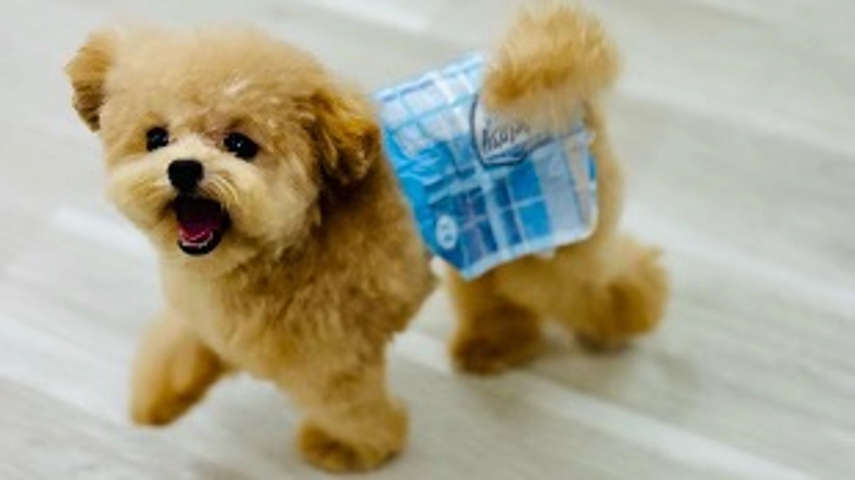 ご支援下さった皆様へ。