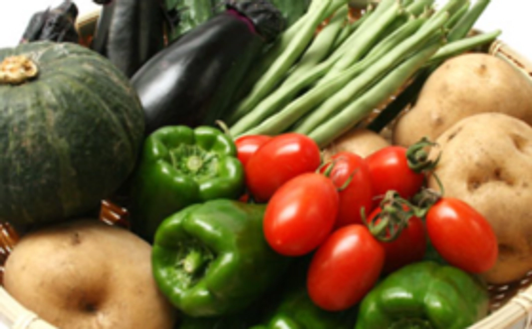 棚田を有効活用コース