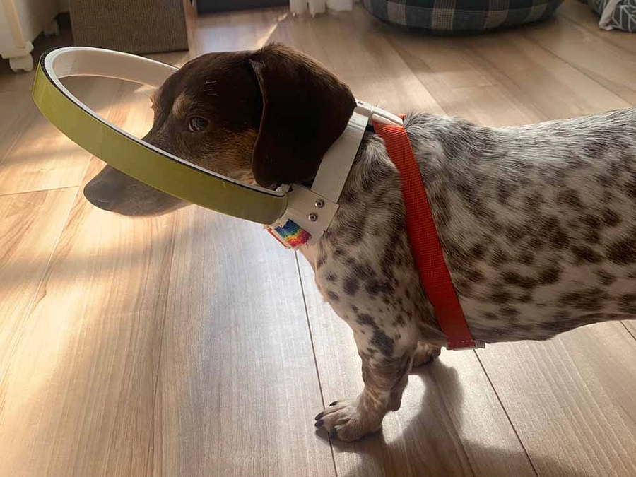 ご支援感謝しております、達成率93％あと一押し背中を押してください