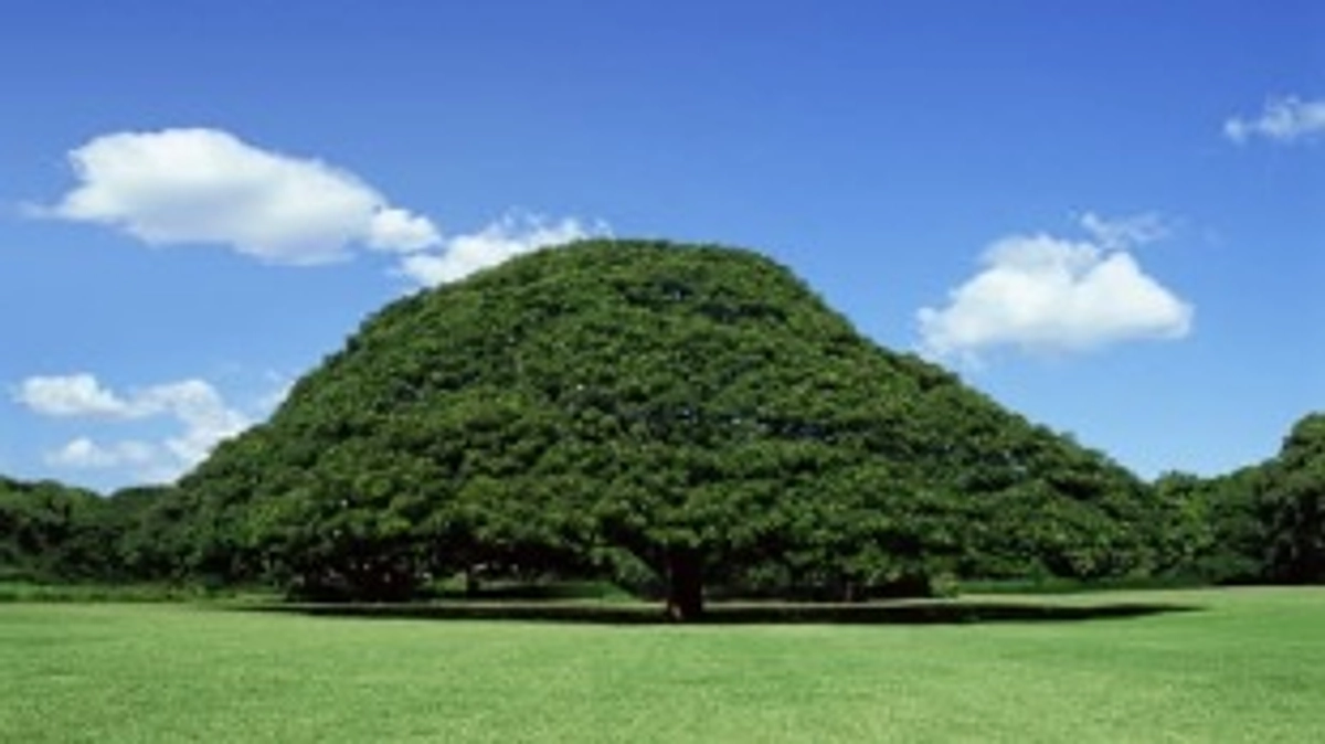 ご支援いただいた皆さまへ