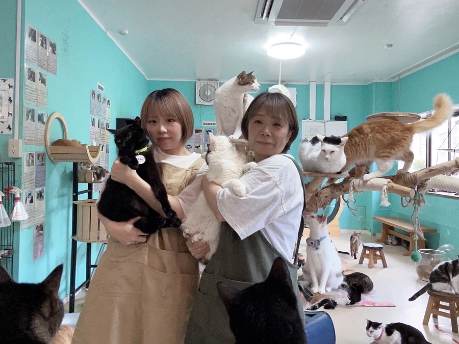 【メッセージ動画あり】母と娘、二人三脚で守ってきたぷここん家。存続のために、どうか力を貸してください