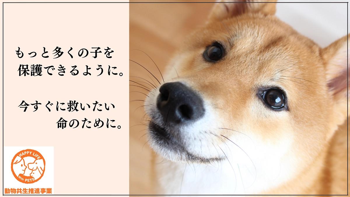 12/8までクラファン挑戦中｜動物共生推進事業さんの挑戦の応援をお願いします！