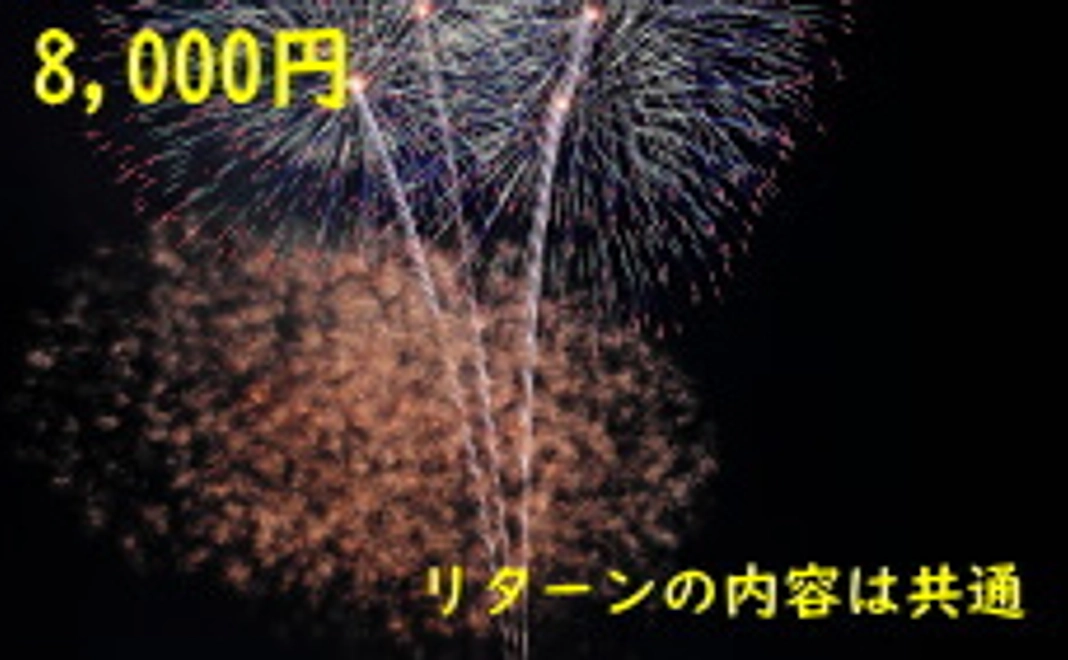 8,000円+システム利用料(220円)