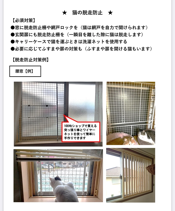 猫の森の里親応募と譲渡までについて