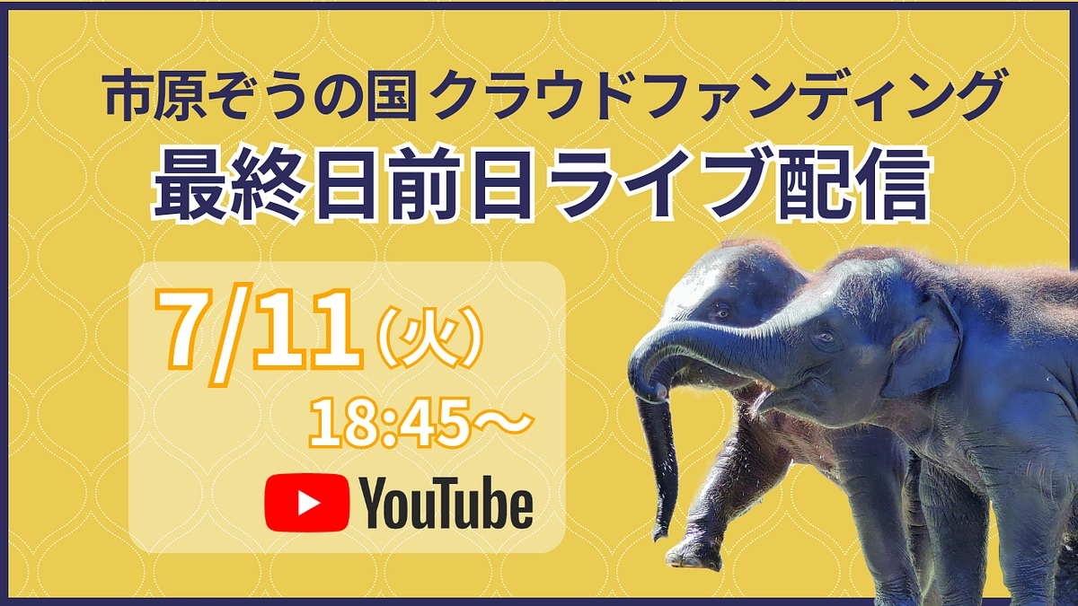 ぜひご参加ください！【7/11(火)18:45~】最終日前日ライブ配信のお知らせ