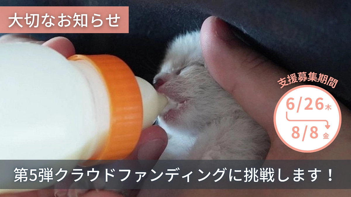 新たな挑戦：2025年クラウドファンディング「第5弾」へのご支援のお願い