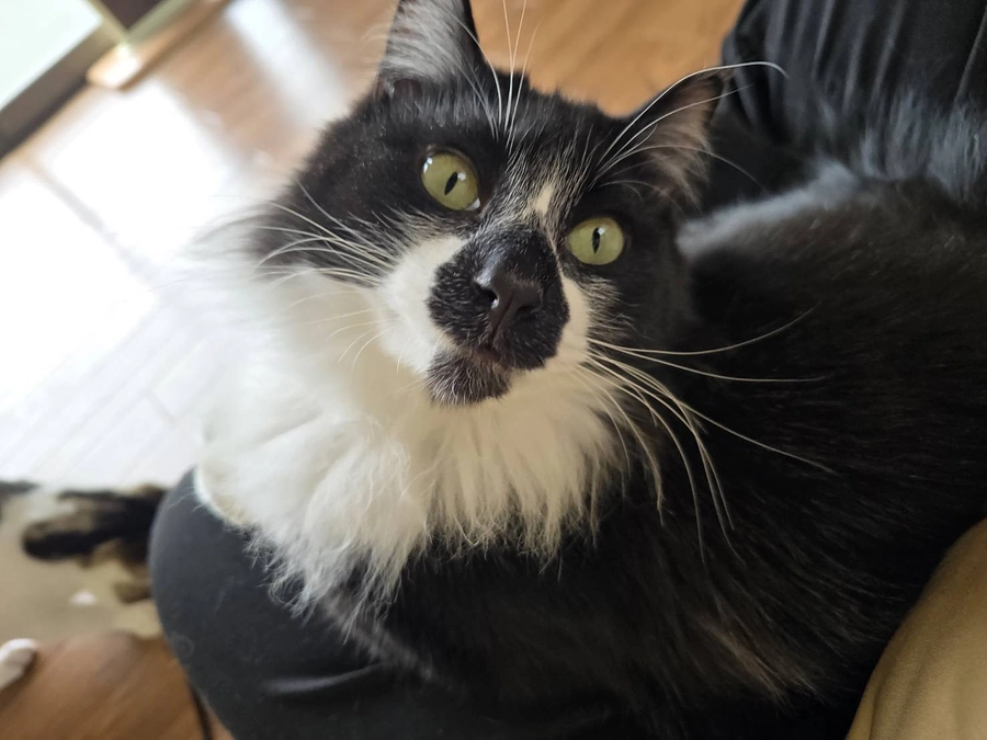 【活動報告】皆さまのご支援でエレン正式譲渡！ゴンもトライアル開始しました！