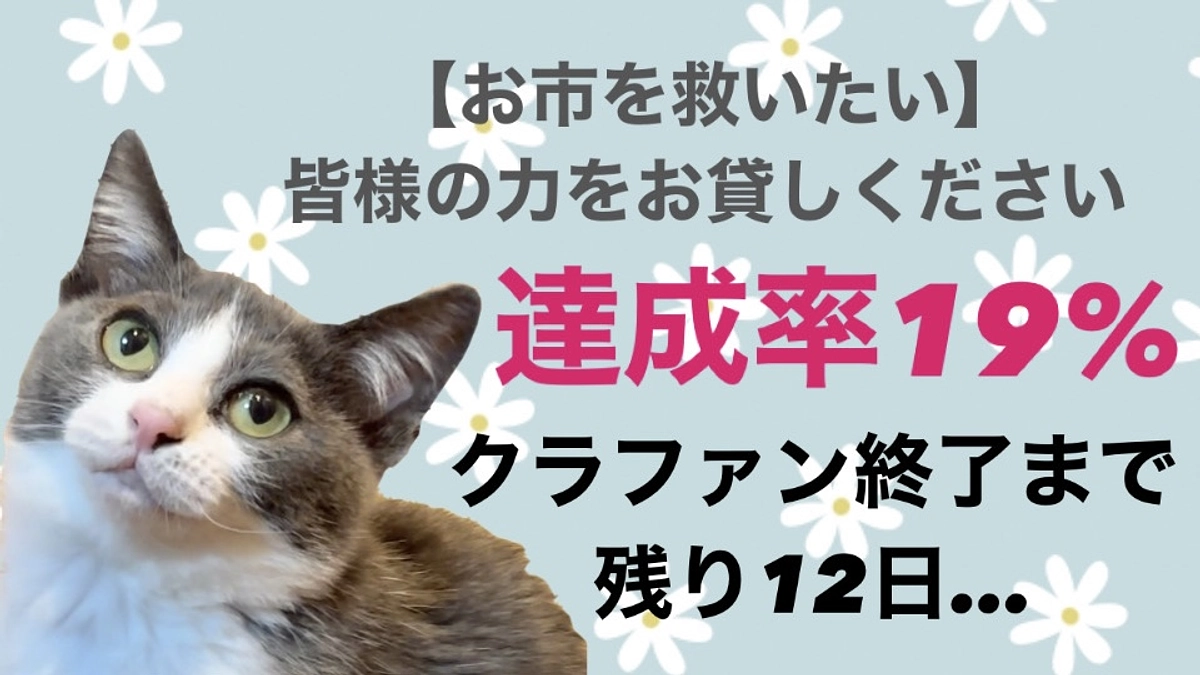 お市の体重とお薬の量・クラファン終了まで残り１２日／達成率１９％です。