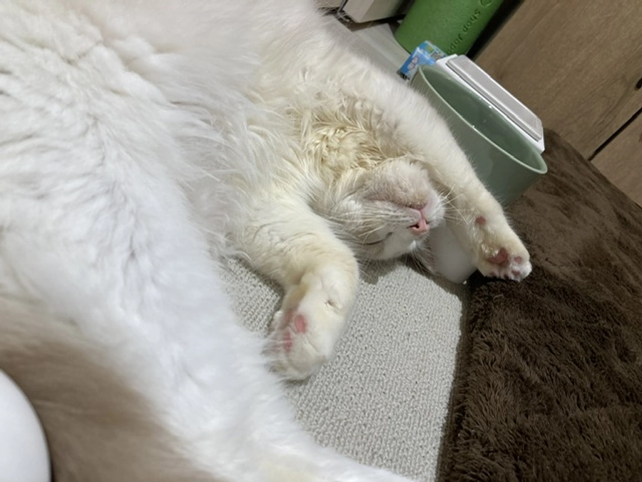 投薬１７日目(2023.3.29)