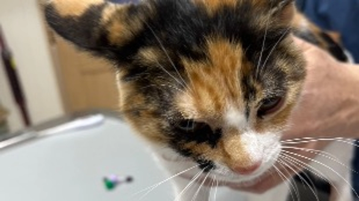 今日は定期検診でした！