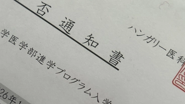 シングルマザーの挑戦：看護学生の母が、息子をハンガリーの医学部へ送 のトップ画像