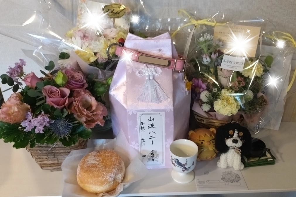 11月10日 ハニーの初七日命日 目標金額達成致しました