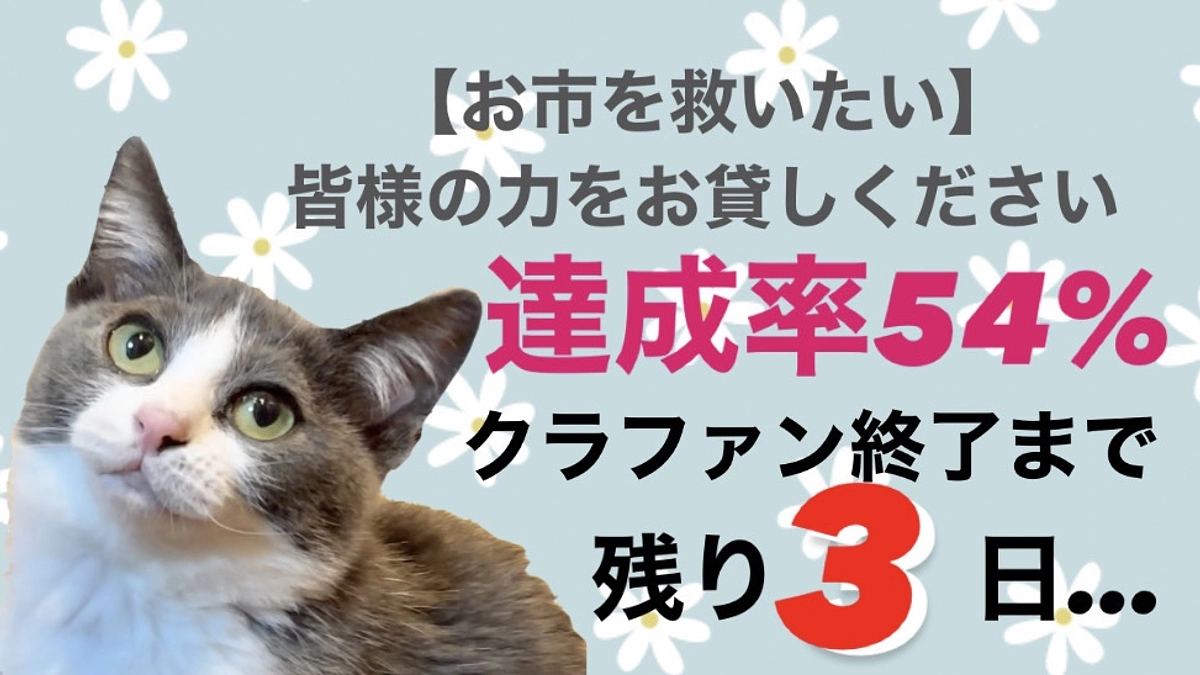 久しぶりにお市が走りました！！嬉しさで飼い主泣きました。