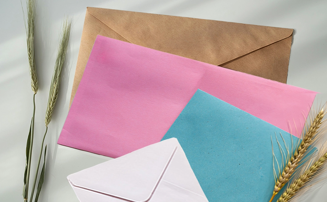 全力応援コース｜3千円