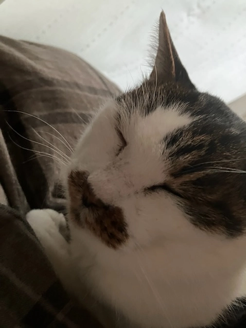 副作用の経過報告