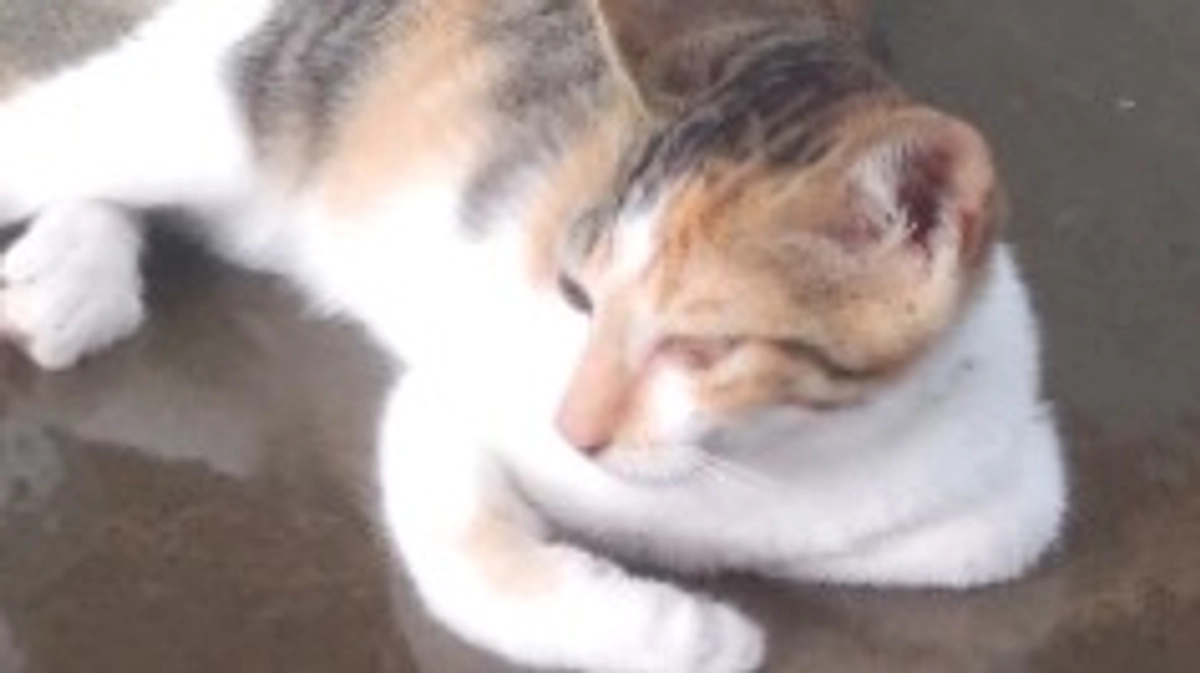 今日も暑かったですね😓