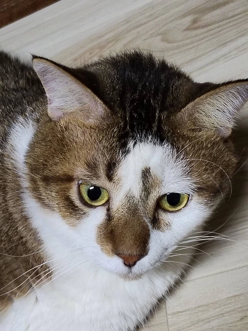 募集期限満了しました。