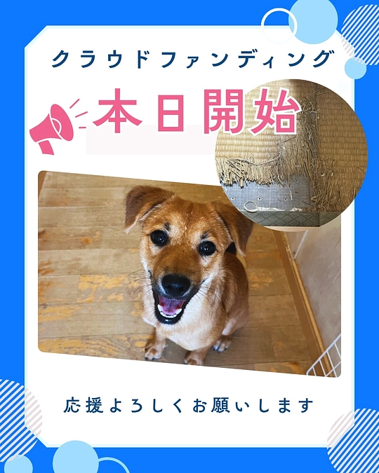 本日正午から2025年のクラファン始まります。