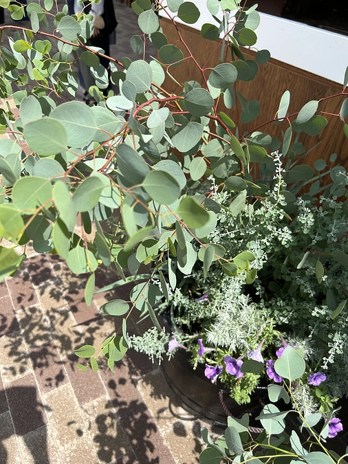 「ユーカリホーム」と名づけました