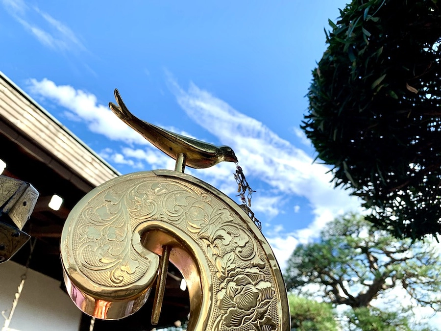 40％突破となりました！と「瑞祥」のお話し