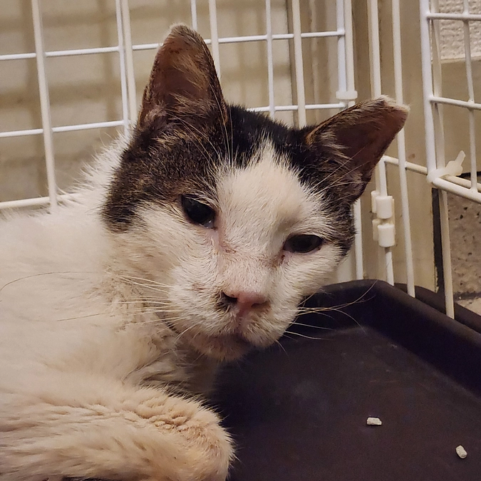 ご報告遅くなりました。