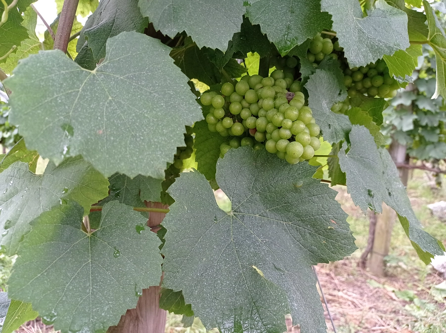 人とのご縁　その２