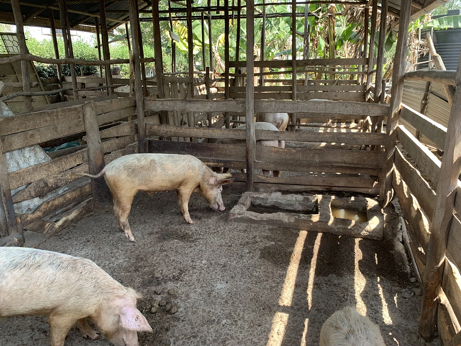 豊富な水と畜産