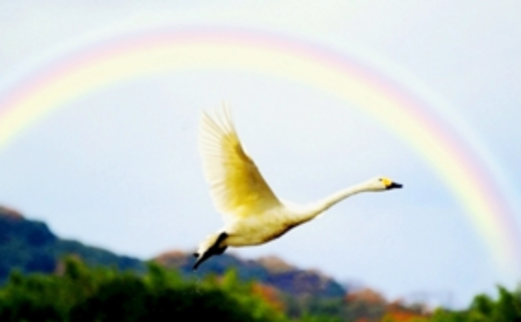 サンクスカードを送付。ホームページにお名前を掲載し、Facebookでご報告。