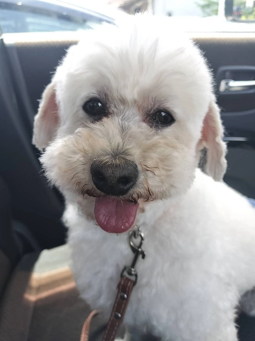 １８日目！公開の1/4が過ぎました！